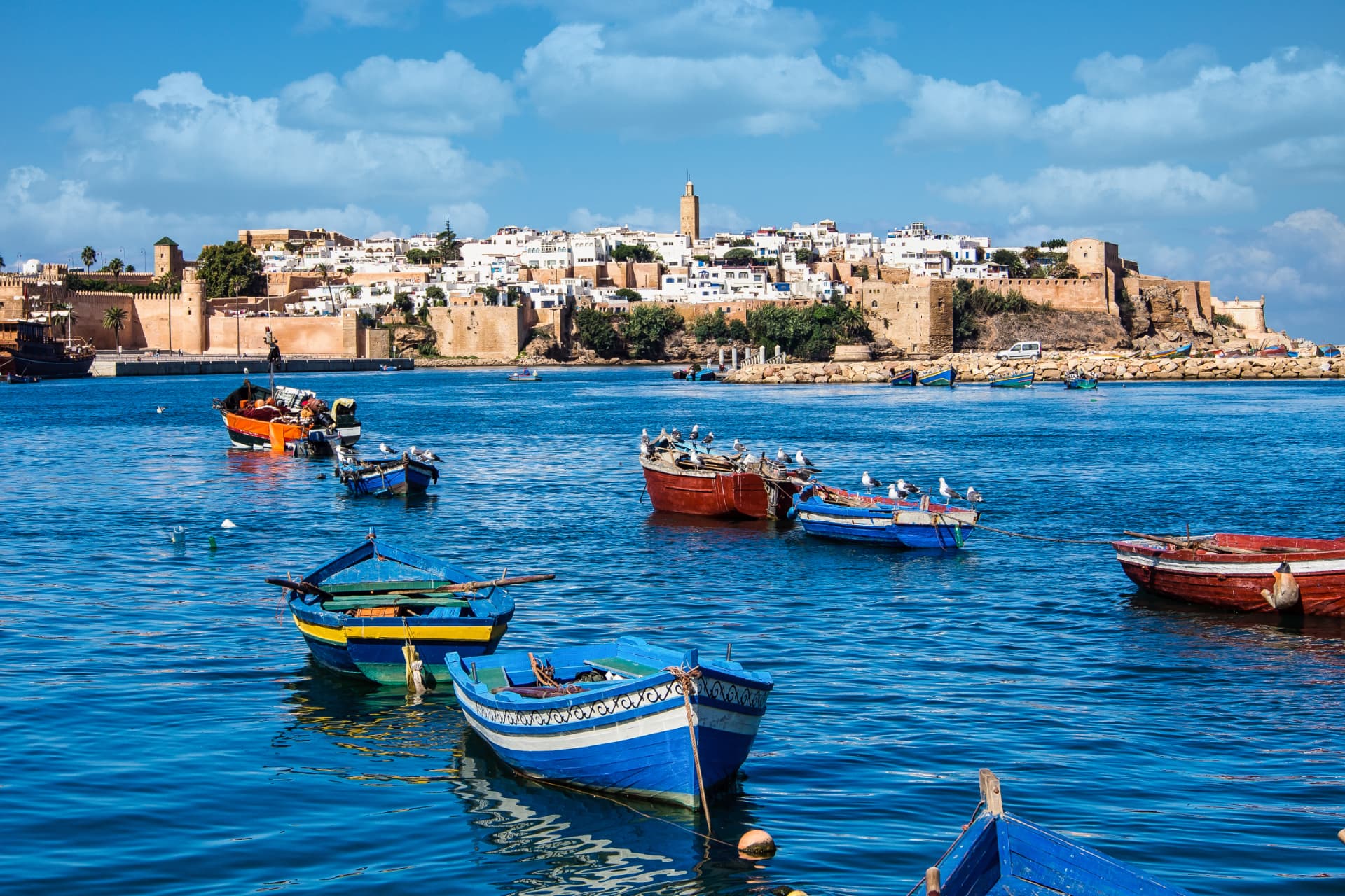 Colorful fishing boats on bright blue water with a coastal Moroccan city behind